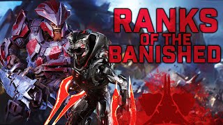 Ranks of the Banished – Every Known Banished Rank  Halo Rubicon Protocol Primer [upl. by Ariajaj]