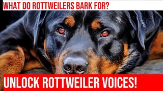 Decoding Your Rottweilers Vocalizations  A Guide for Pet Owners [upl. by Appel]