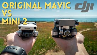 Original DJI Mavic Pro VS DJI Mini 2  Which One Should You Get [upl. by Bishop]