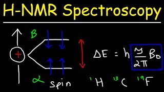 Basic Introduction to NMR Spectroscopy [upl. by Betthezel]