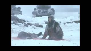 Stalingrad 1993 History 12 Video [upl. by Ialocin]