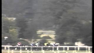 1989 King George VI and Queen Elizabeth Diamond Stakes [upl. by O'Conner]