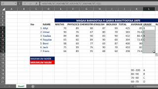 MSExcel for beginners in Afaan Oromoo [upl. by Adaiha]