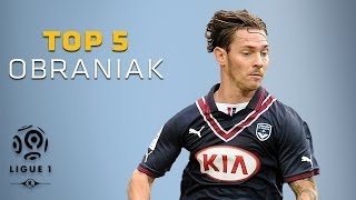 Ludovic Obraniak  Top 5 Goals  Ligue 1 [upl. by Nesnar673]