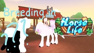 Breeding gargs and other things in horse life [upl. by Madlin948]