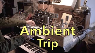 Ambient Trip DIY Noisebox Analog Radios Novation Peak Synth Bioscape [upl. by Nevai395]