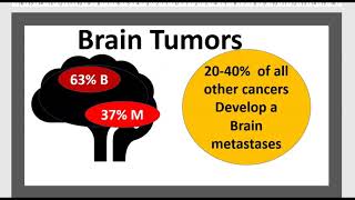 Tumeurs du cerveau enfant Biopsie cérébrale Méningiome Astrocytome Gliale Neuroendocrine VHL 3 mn [upl. by Eimmit]