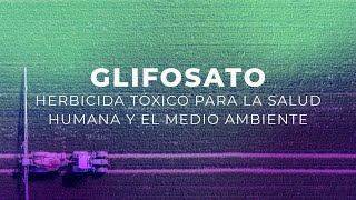 Glifosato herbicida tóxico para la salud humana y el medio ambiente [upl. by Isle884]