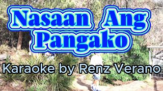 Nasaan Ang Pangako Karaoke by Renz Verano [upl. by Cung]