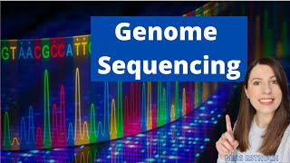 Using Genome Projects What is a genome and how can a sequenced genome be useful [upl. by Lubow552]