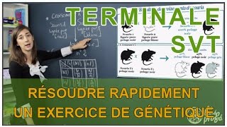 Résoudre rapidement un exercice de génétique  SVT Terminale S  Les Bons Profs [upl. by Nongim]