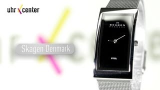 Skagen 359USSB Quarz Damenuhr [upl. by Adnowal]