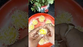 😬কামড় বসান কদম ফুলে shorts yutubeshorts recipe cooking palm food reels pitharecipe [upl. by Gilletta818]