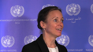 UNODCs IEU Chief speaks about UN Evaluation Group and SDGs [upl. by Llednov]