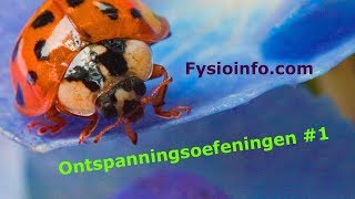 Ontspanningsoefening Minder stress door spieren aan te spannen en weer te ontspannen Niet moeilijk [upl. by Aihsinat676]