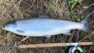 Salmon fishing on the River Drowes 21st March 2022 [upl. by Ayirp170]