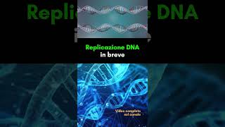 Come avviene la duplicazione del DNA in breve [upl. by Randall]