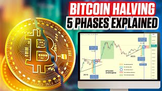 5 Phases of the Bitcoin Halving  Updated Ultimate Guide For 2024 [upl. by Ettenajna]