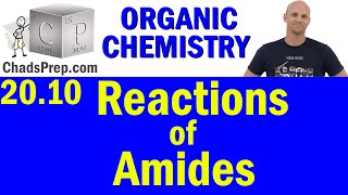 2010 Synthesis and Reactions of Amides  Organic Chemistry [upl. by Lednek]