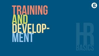 HR Basics Training and Development [upl. by Osman]