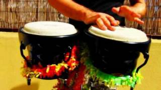 Bongos  Freestyle Percussion Magik [upl. by Keegan794]