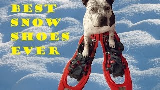 TSL Symbioz Elite Snowshoes  Not Your Grandpas Snowshoes [upl. by Ruby]