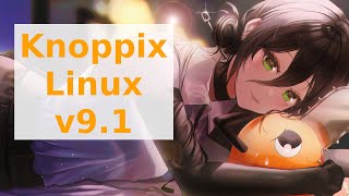 Knoppix Linux V91 Live Media Overview [upl. by Lokim532]