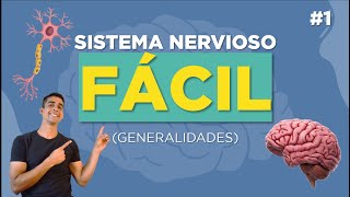 🧠 SISTEMA NERVIOSO CENTRAL Y PERIFÉRICO Resumen Simpático y Parasimpático [upl. by Niarb]