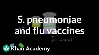 Streptococcus pneumoniae and flu vaccines  Respiratory system diseases  NCLEXRN  Khan Academy [upl. by Alleber725]