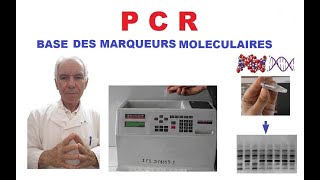 PCR polymérisation en chaîne de ADN Base des marqueurs moléculaires [upl. by Annay204]