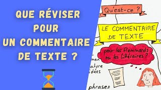 BAC FRANÇAIS 2024  réviser le commentaire de texte [upl. by Pasahow205]