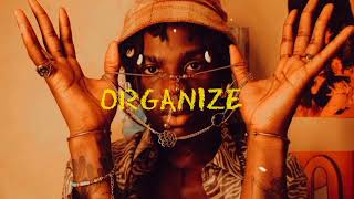 Organize Seyi Vibez x Asake x Zinoleesky Type Beat  Amapiano 2023 [upl. by Gnouhc]