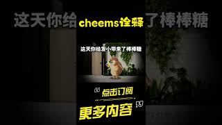 当你有个精神不正常的发小…cheems 细思极恐 烧脑 悬疑 【cheems诠释】 [upl. by Sivart]