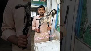 Tetanus in Goat viral goat yputubeshorts youtube viral [upl. by Analat]