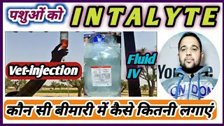 Vetinjection Intalyte iv Fluid use in Animalsपशुओं में इंटा लाइट का प्रयोग कौन सी बीमारियों [upl. by Burtie]