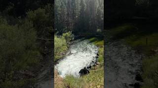 Water being released from Lost Valley Dam reservoir dams idaho mountains pinetree summer fyp [upl. by Nnaj]