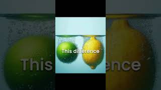 Lemons vs Limes The Great Citrus Float Off [upl. by Carlen]