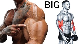 Best Superset Bicep Tricep Workout for Mass [upl. by Nayt]