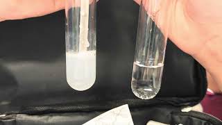 Primary 5 Science Limewater Experiment test for CO2 [upl. by Darsey]