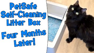 PetSafe SelfCleaning Litter Box 4 Months Later [upl. by Idnyl]