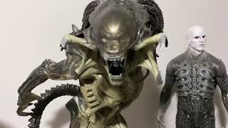 Sideshow Collectibles Predalien Maquette [upl. by Rucker]