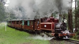 Steam Trains in Winter  Puffing Billy Railway Trains Downunder [upl. by Upshaw]