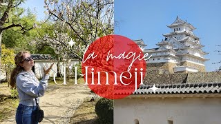 HIMEJI  Château jardin japonais et repas incroyable 🇯🇵 [upl. by Wooster669]