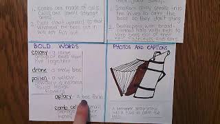 Nonfiction Text Features Project Making the FlipgridExpectations [upl. by Ennovehs]