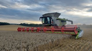 A pair of 45 foot cut Lexions at work on the Ridgeway [upl. by Mot785]