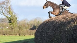 Alices Thrills amp spills with The Ledbury Hunt 20142015 Season [upl. by Eryn169]