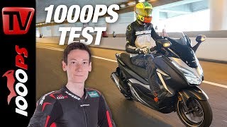 Honda Forza 125 und 300  Test der neuen Modelle 2018 [upl. by Ogait109]