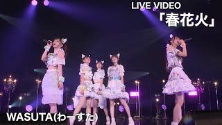 わーすた（WASUTA）「春花火」 Live Video [upl. by Hpeseoj]