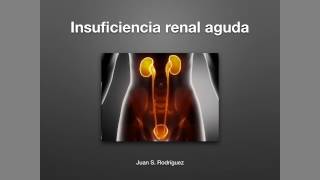 Insuficiencia renal aguda [upl. by Ibmab]