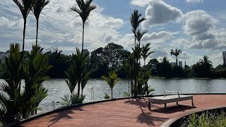 Jurong Lake Gardens Singapore [upl. by Acinna391]